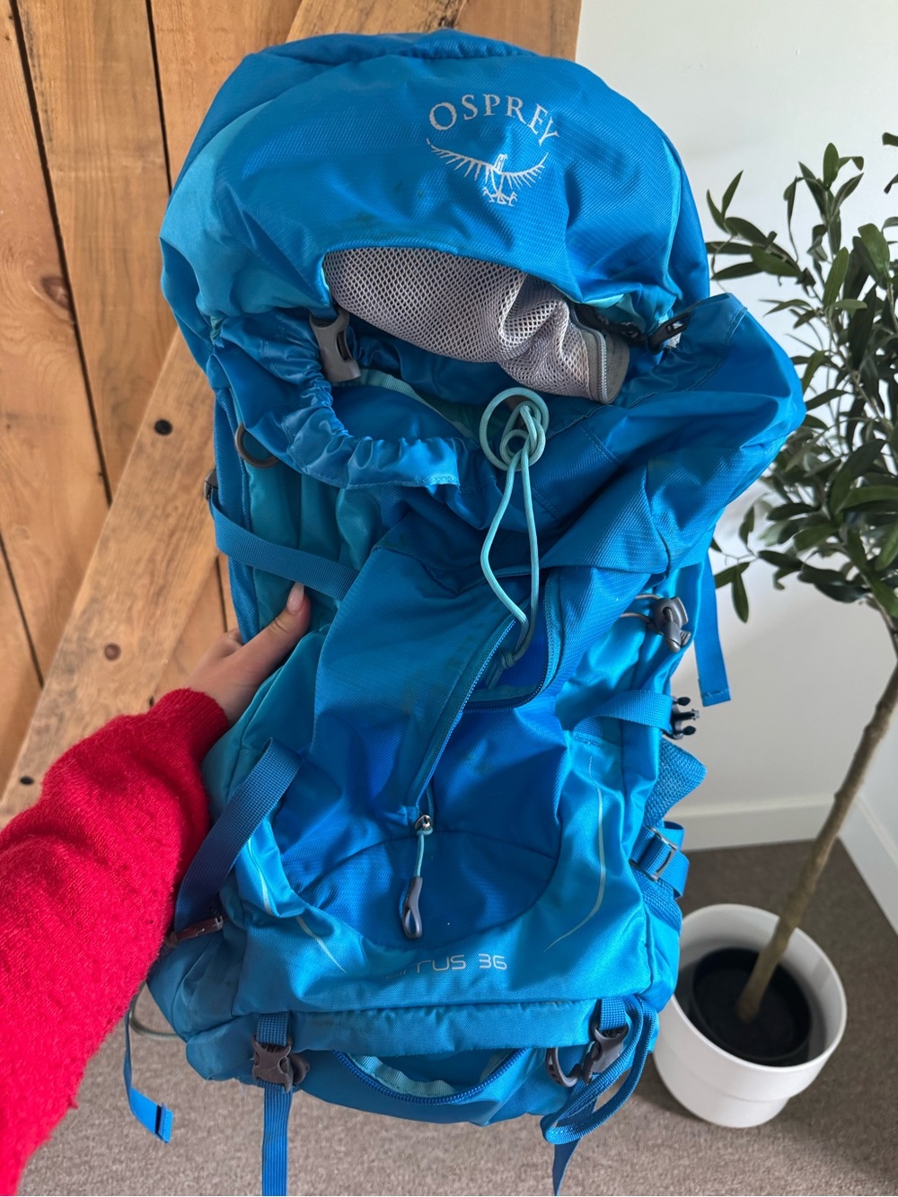 OSPREY Bright Blue Kids Daypack with Padded Straps